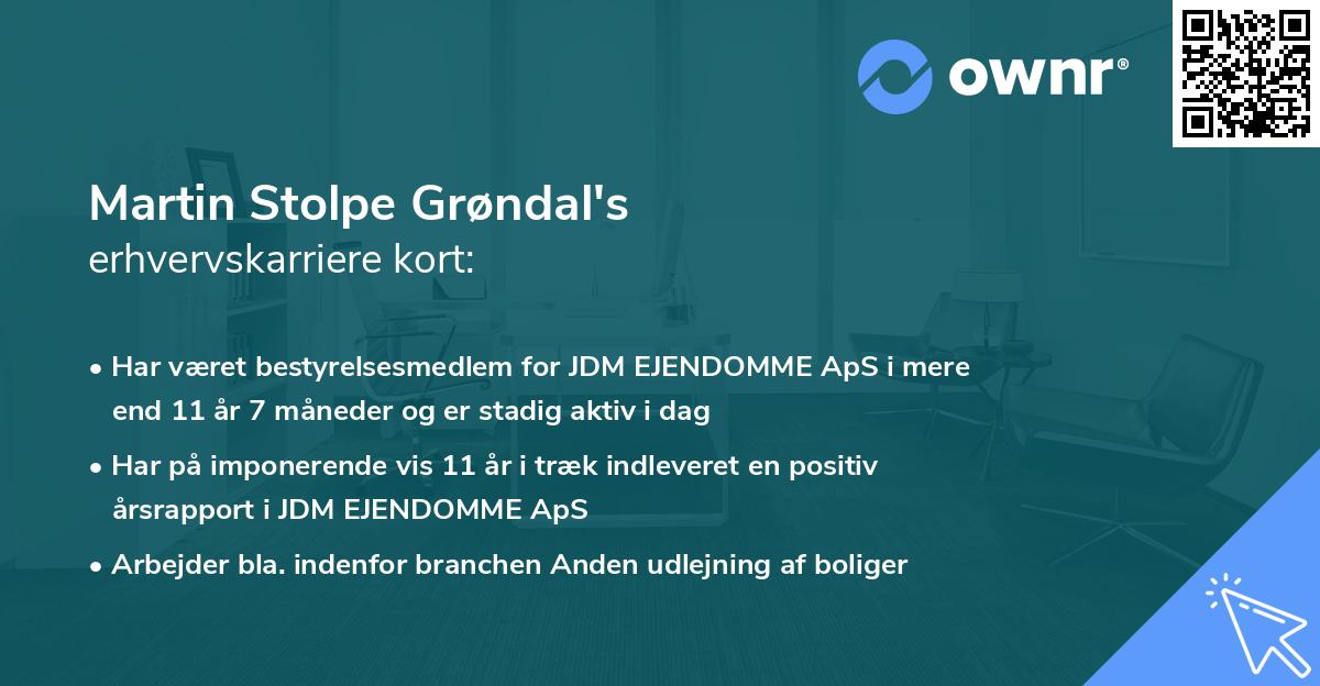 Martin Stolpe Grøndal's erhvervskarriere kort