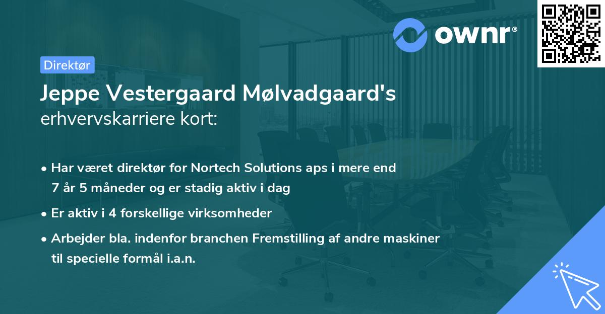 Jeppe Vestergaard Mølvadgaard's erhvervskarriere kort