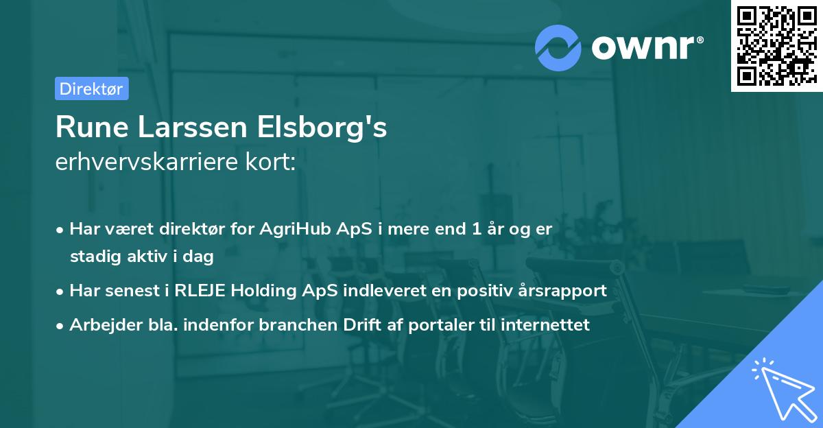 Rune Larssen Elsborg's erhvervskarriere kort