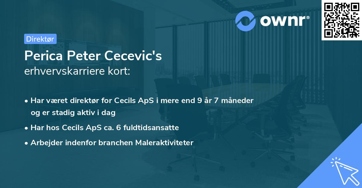 Perica Peter Cecevic's erhvervskarriere kort