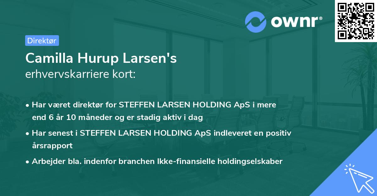 Camilla Hurup Larsen's erhvervskarriere kort