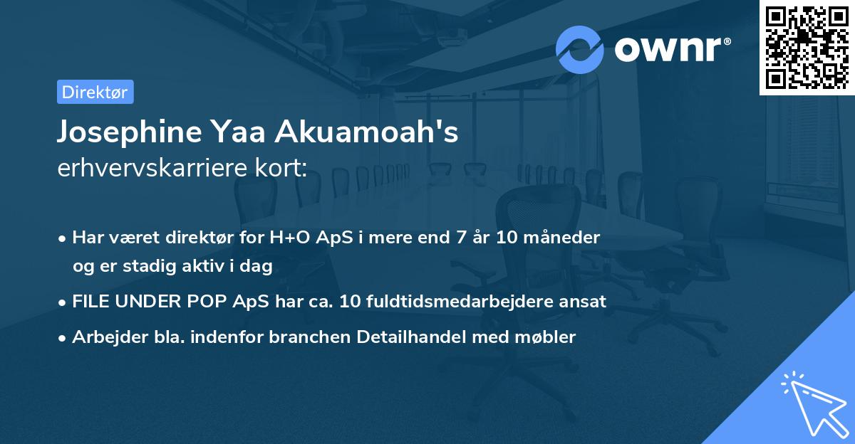 Josephine Yaa Akuamoah's erhvervskarriere kort