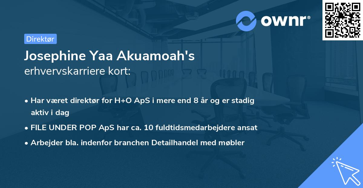 Josephine Yaa Akuamoah's erhvervskarriere kort