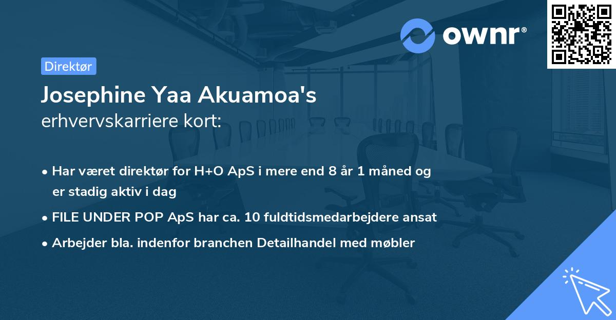 Josephine Yaa Akuamoa's erhvervskarriere kort