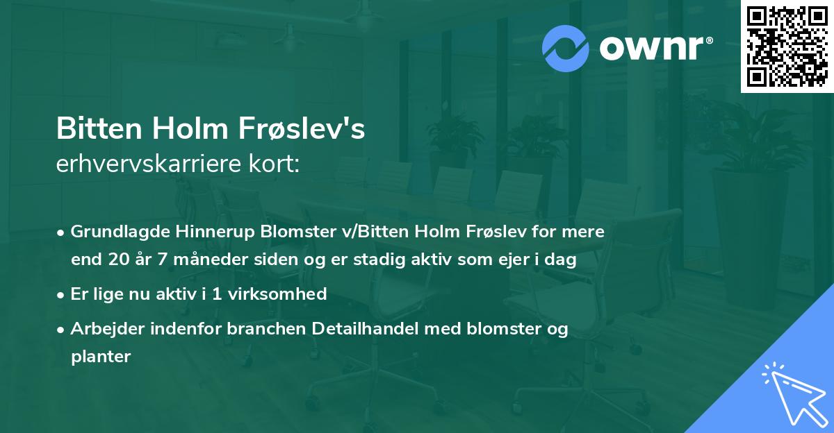 Bitten Holm Frøslev's erhvervskarriere kort