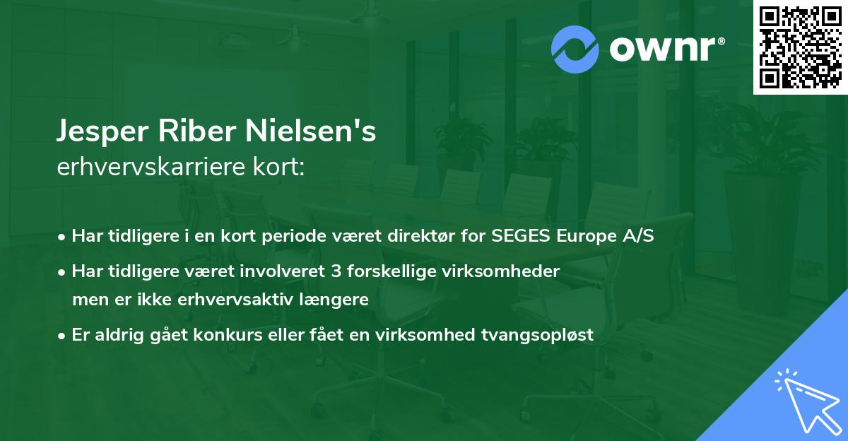 Jesper Riber Nielsen's erhvervskarriere kort