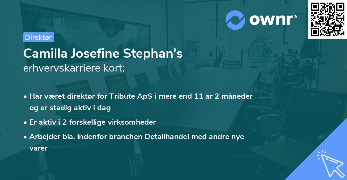 Camilla Josefine Stephan's erhvervskarriere kort