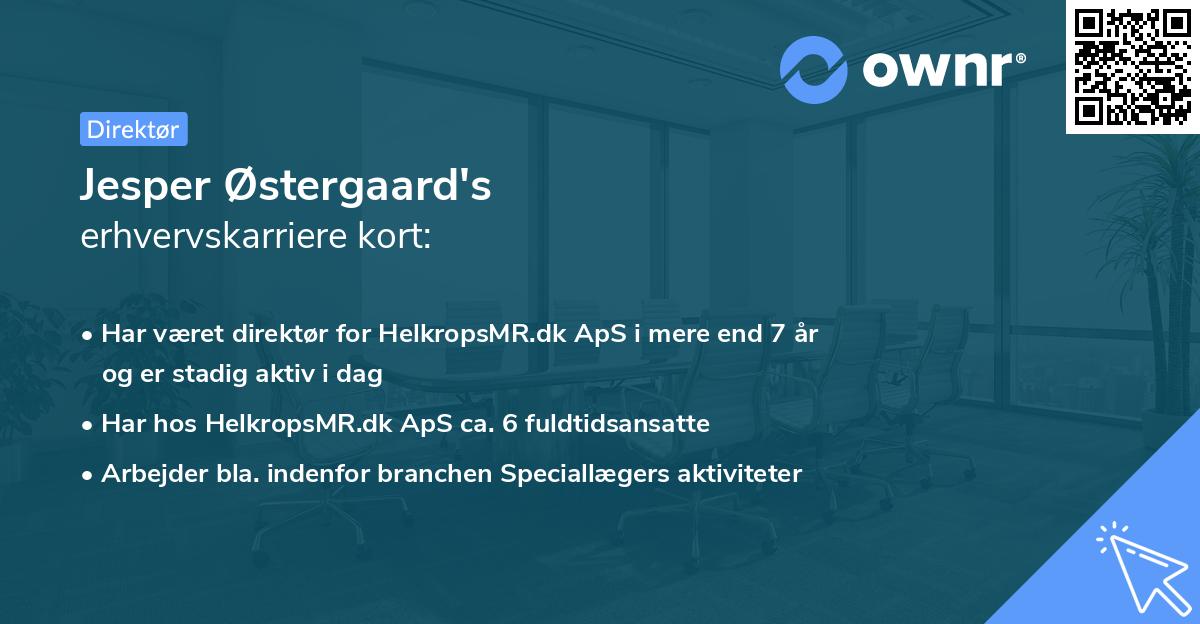 Jesper Østergaard's erhvervskarriere kort