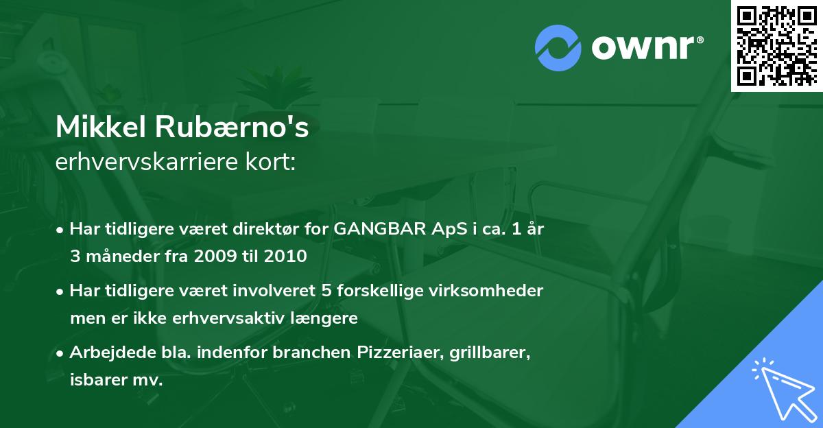 Mikkel Rubærno's erhvervskarriere kort