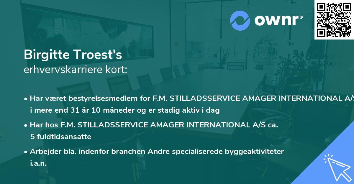 Birgitte Troest's erhvervskarriere kort