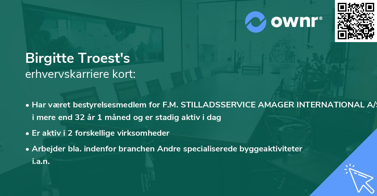 Birgitte Troest's erhvervskarriere kort