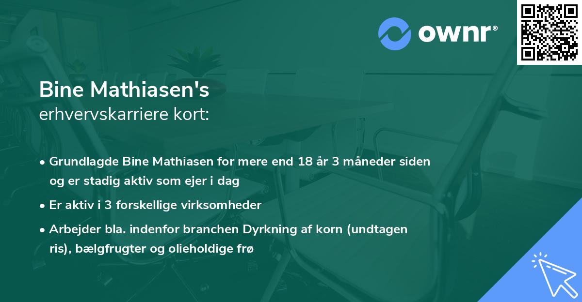 Bine Mathiasen's erhvervskarriere kort