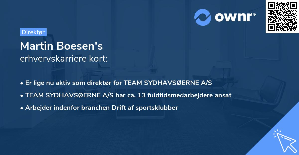 Martin Boesen's erhvervskarriere kort