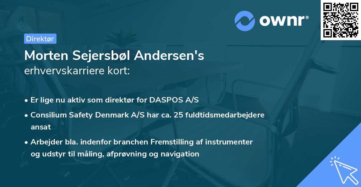 Morten Sejersbøl Andersen's erhvervskarriere kort