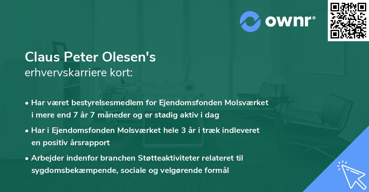 Claus Peter Olesen's erhvervskarriere kort