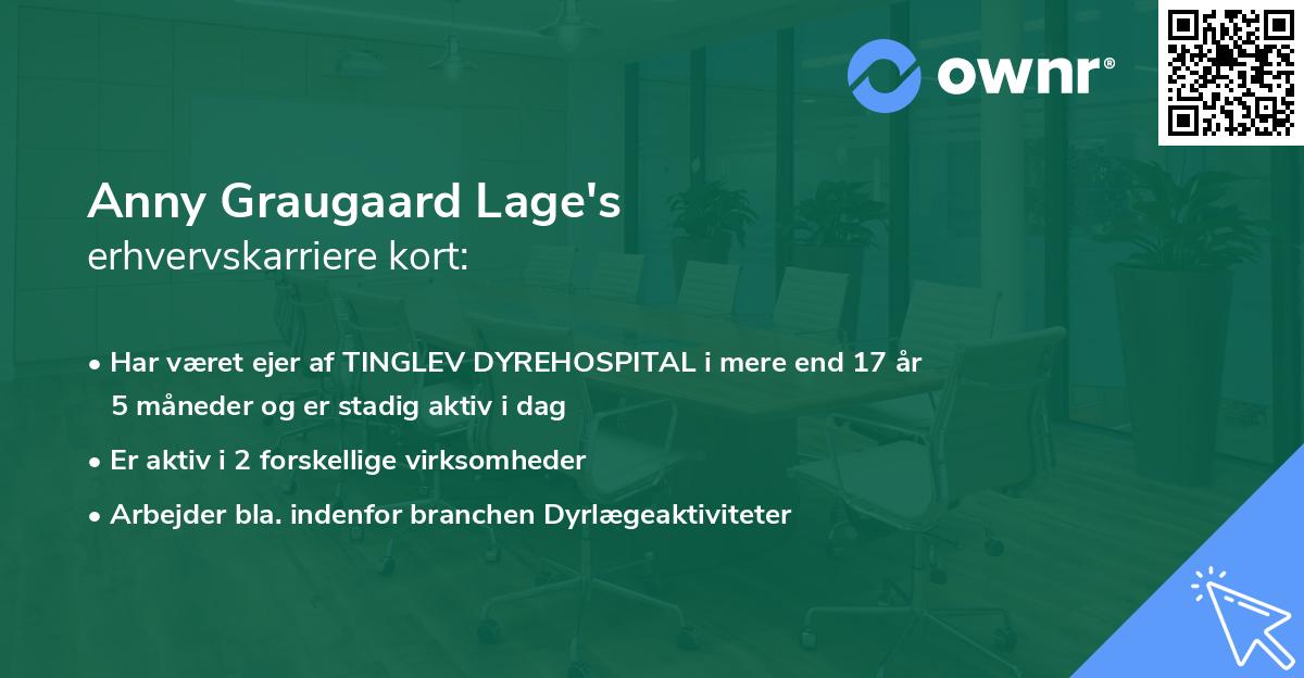 Anny Graugaard Lage's erhvervskarriere kort