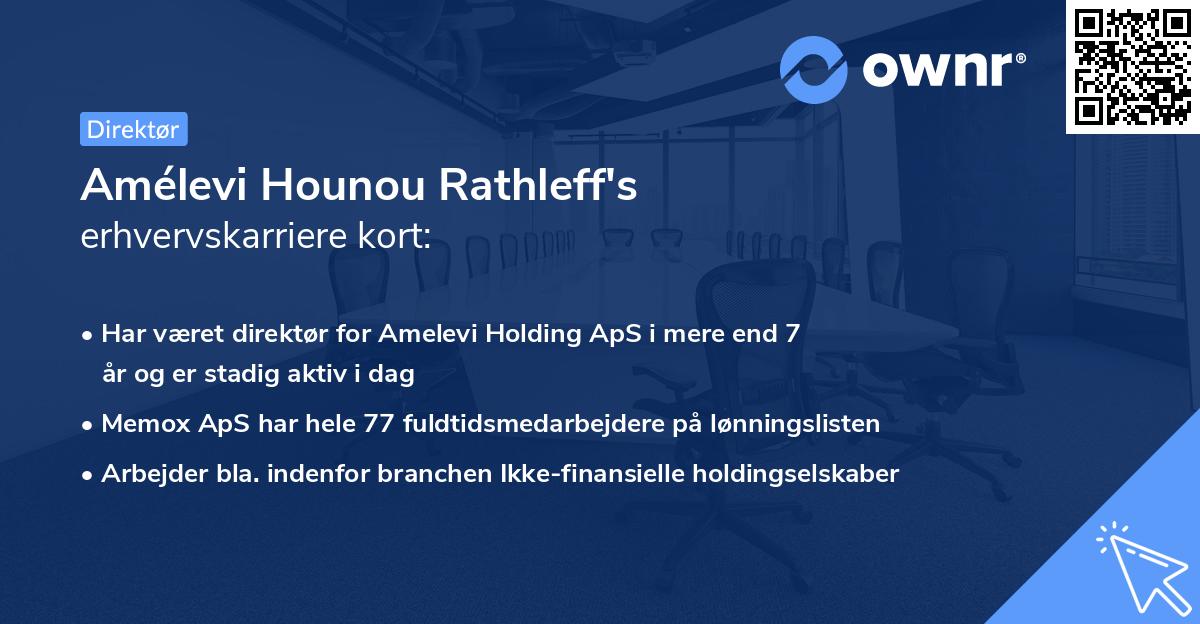 Amélevi Hounou Rathleff's erhvervskarriere kort