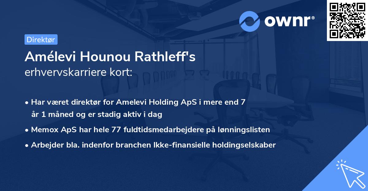 Amélevi Hounou Rathleff's erhvervskarriere kort