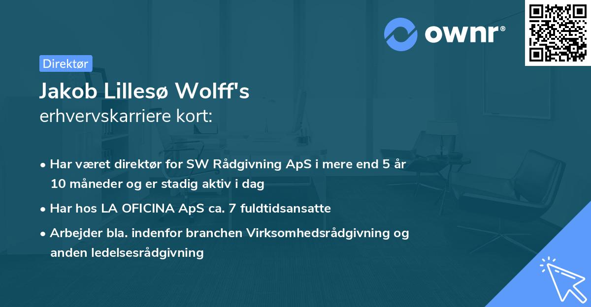Jakob Lillesø Wolff's erhvervskarriere kort