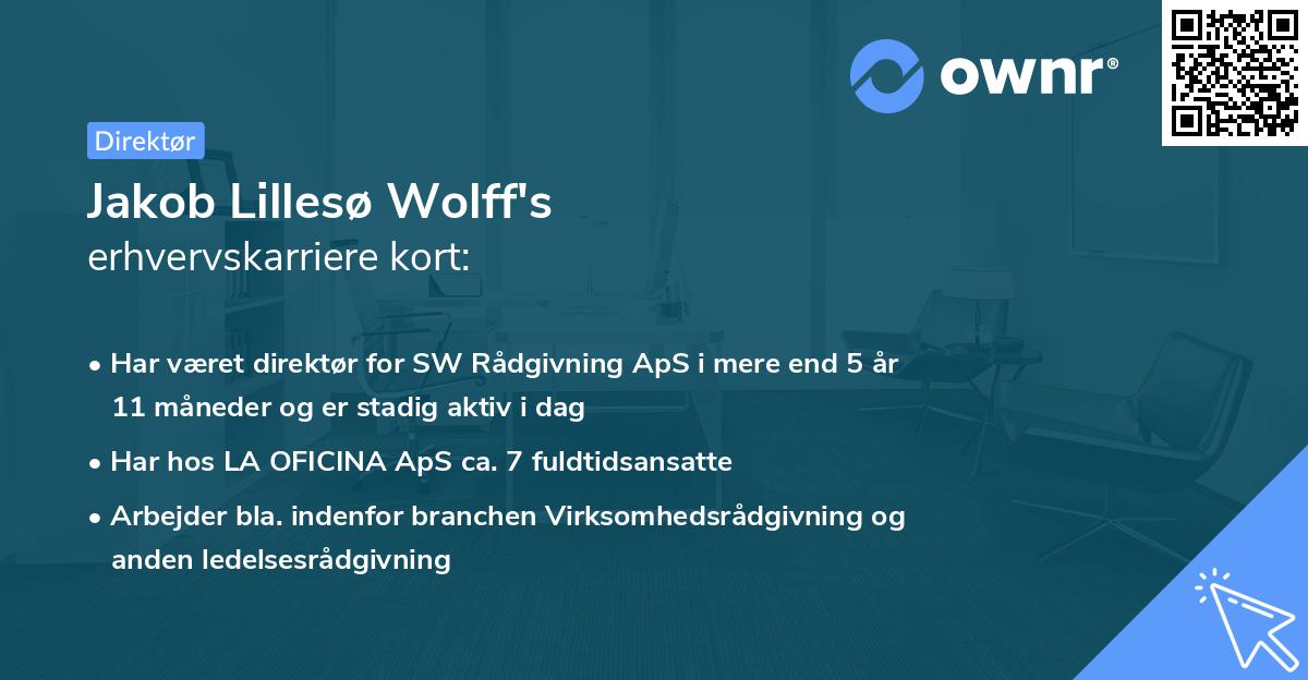 Jakob Lillesø Wolff's erhvervskarriere kort