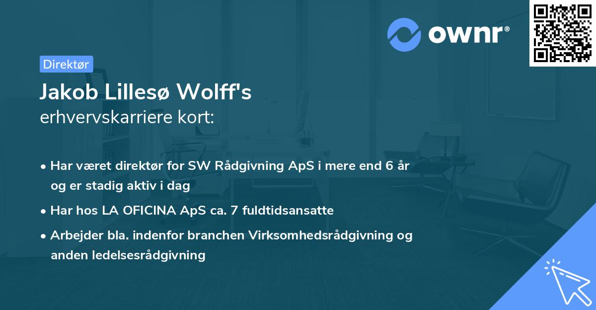 Jakob Lillesø Wolff's erhvervskarriere kort