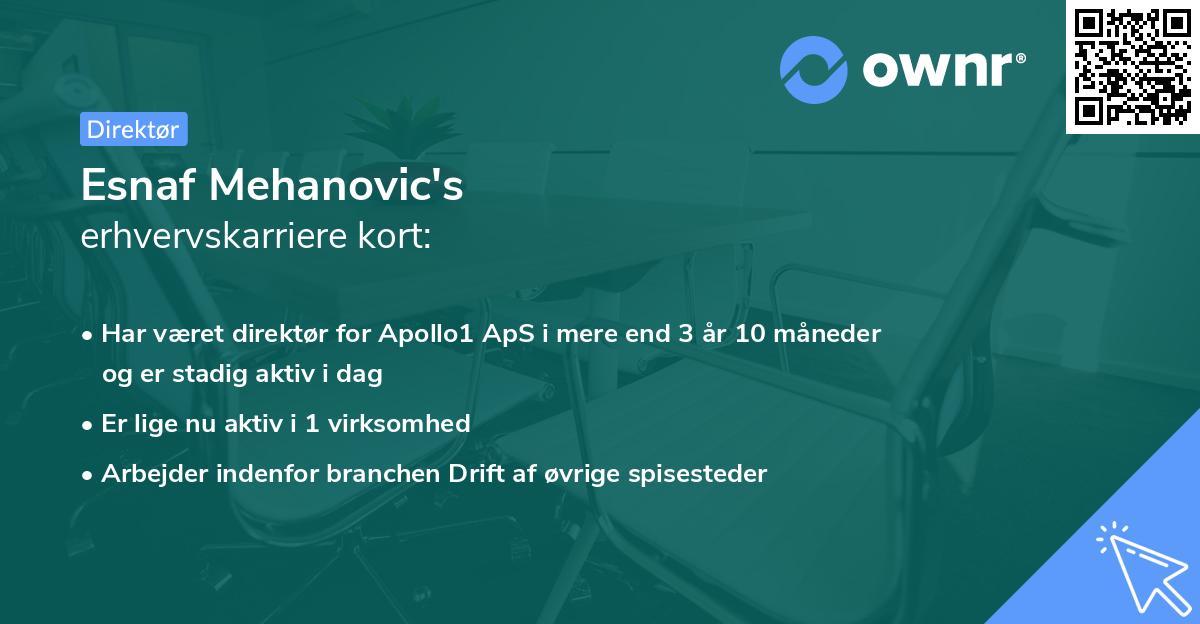 Esnaf Mehanovic's erhvervskarriere kort