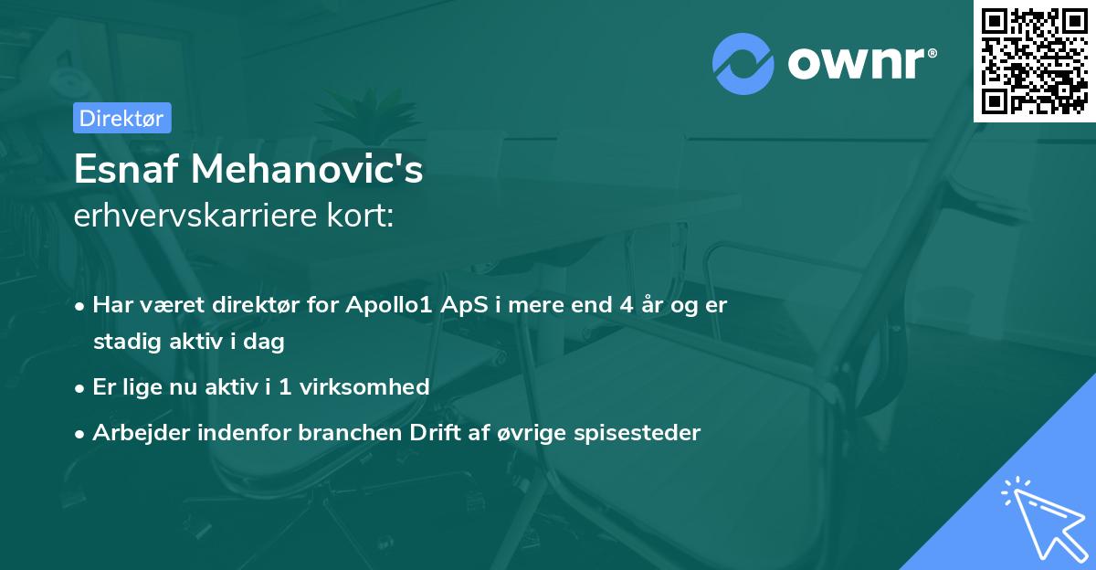 Esnaf Mehanovic's erhvervskarriere kort