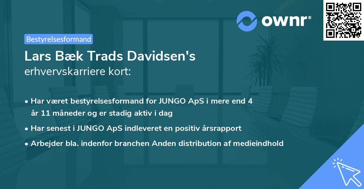 Lars Bæk Trads Davidsen's erhvervskarriere kort