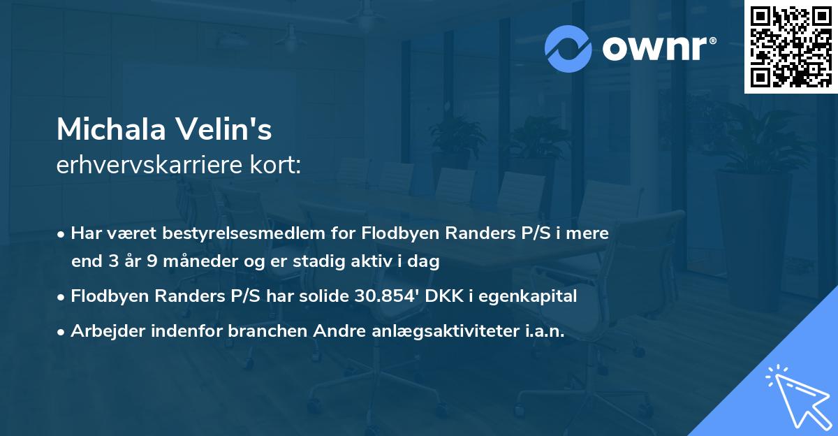 Michala Velin's erhvervskarriere kort