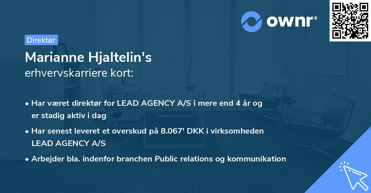 Marianne Hjaltelin's erhvervskarriere kort