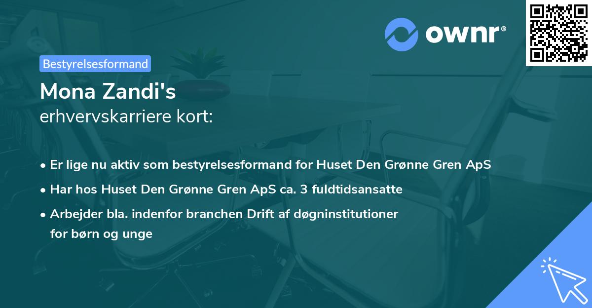 Mona Zandi's erhvervskarriere kort