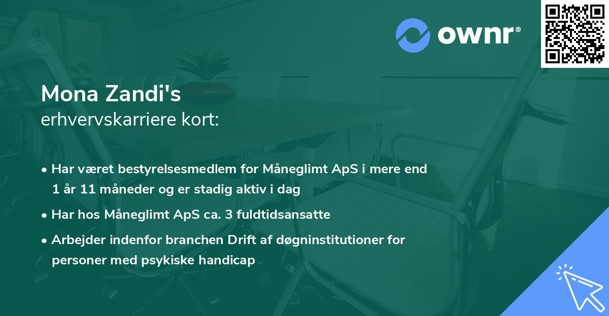 Mona Zandi's erhvervskarriere kort