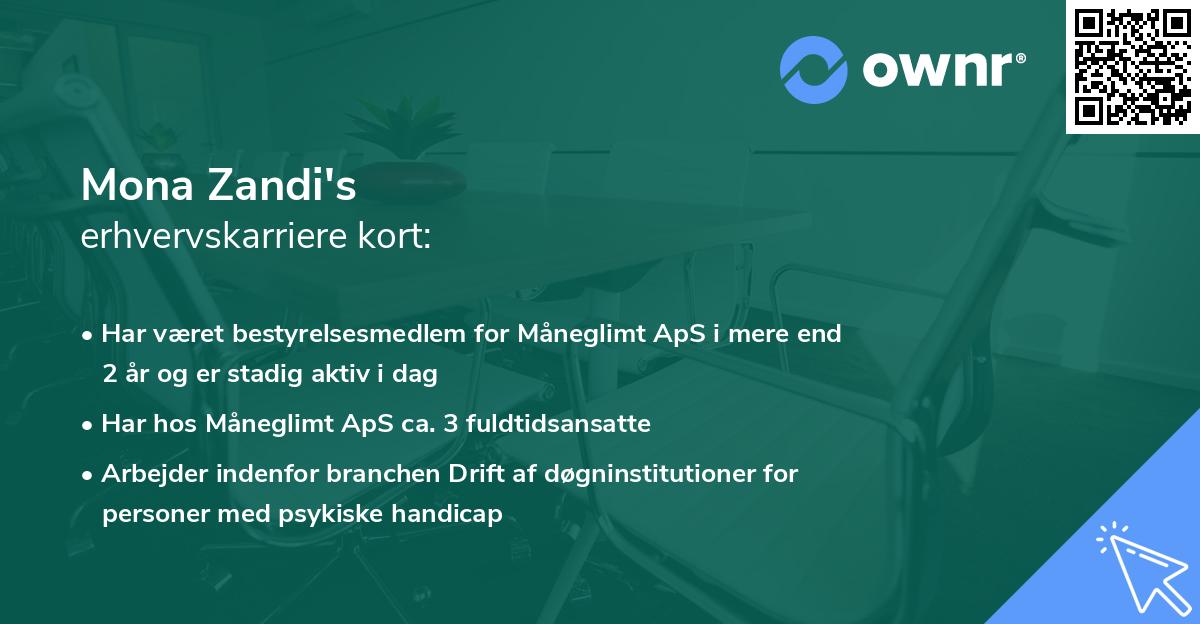 Mona Zandi's erhvervskarriere kort