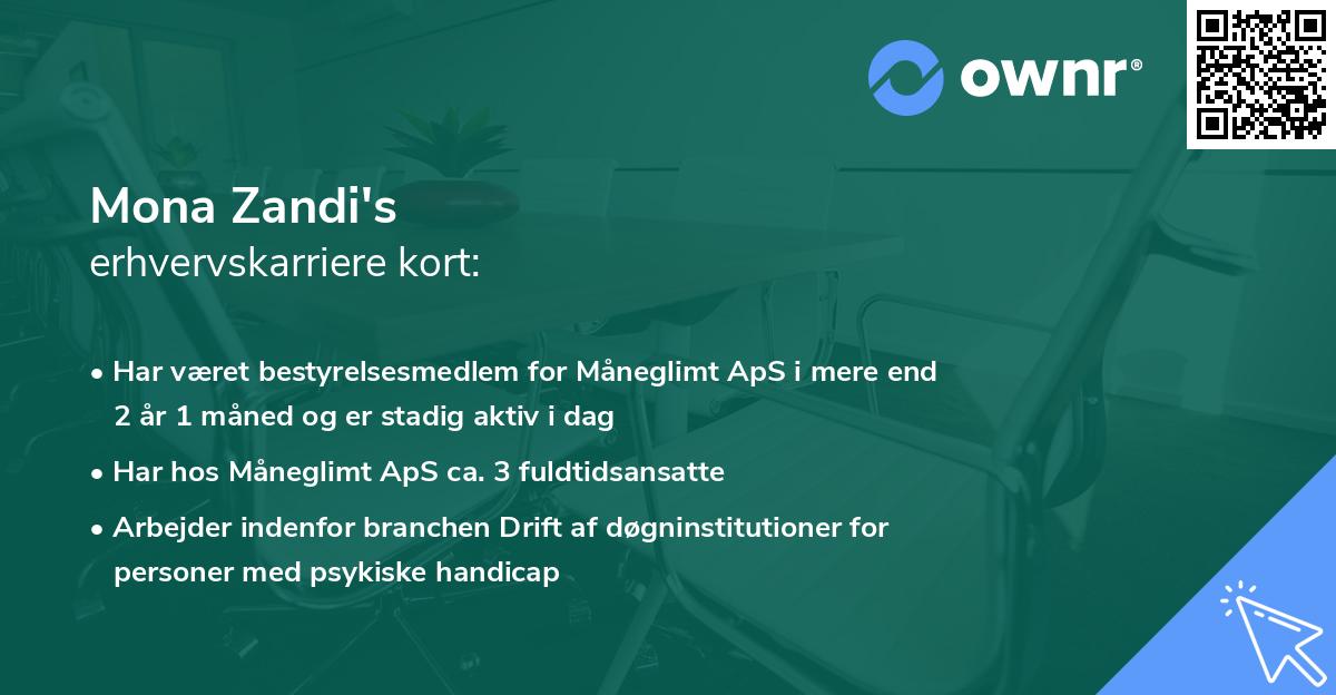 Mona Zandi's erhvervskarriere kort