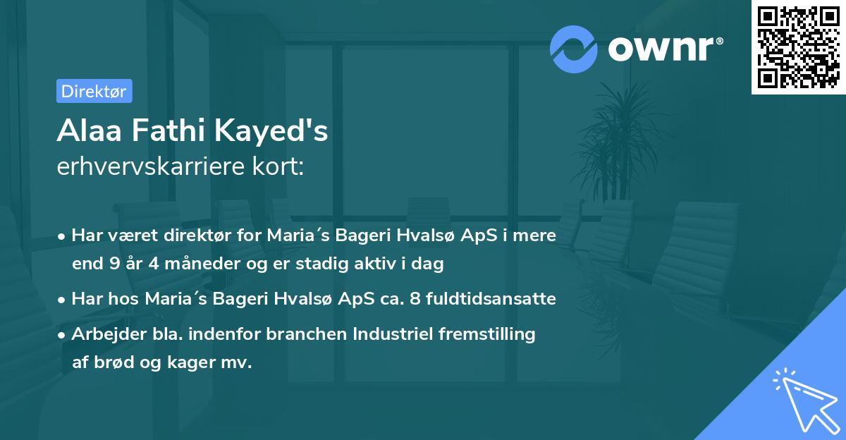 Alaa Fathi Kayed's erhvervskarriere kort