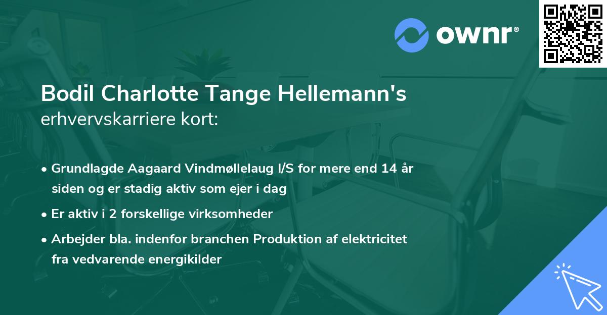Bodil Charlotte Tange Hellemann's erhvervskarriere kort