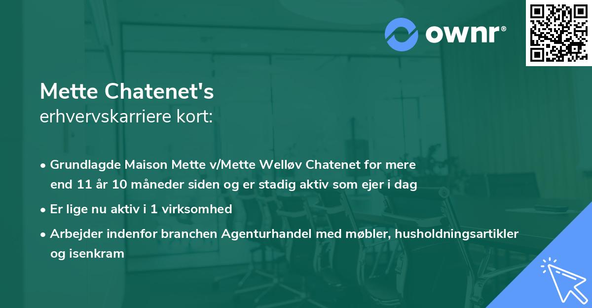 Mette Chatenet's erhvervskarriere kort