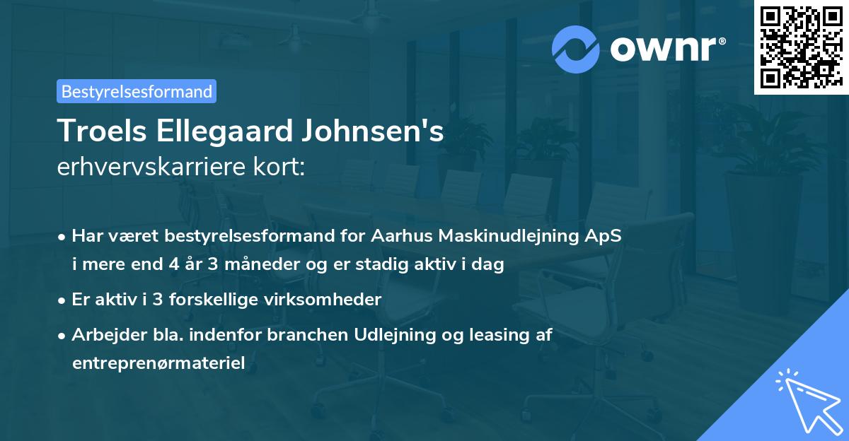 Troels Ellegaard Johnsen's erhvervskarriere kort