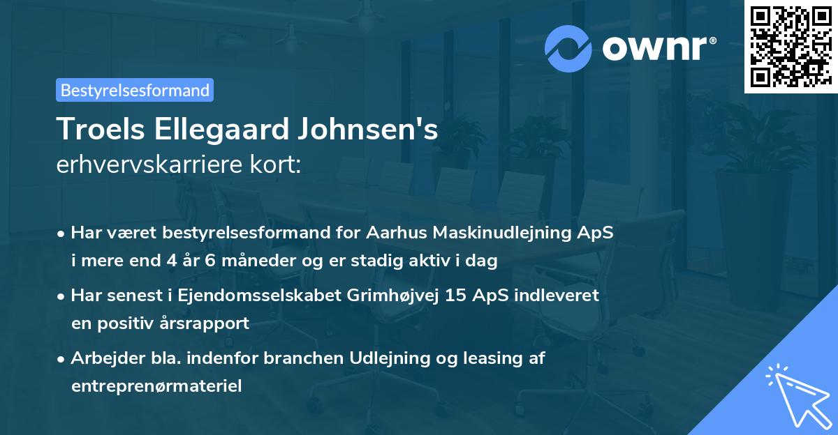 Troels Ellegaard Johnsen's erhvervskarriere kort