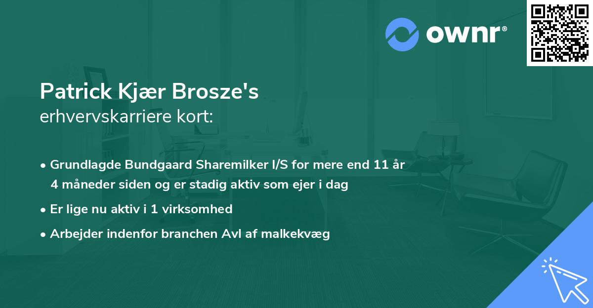 Patrick Kjær Brosze's erhvervskarriere kort
