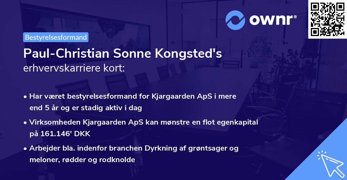 Paul-Christian Sonne Kongsted's erhvervskarriere kort