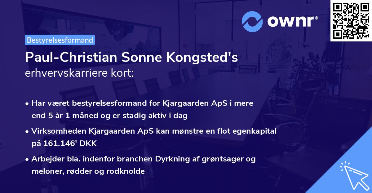 Paul-Christian Sonne Kongsted's erhvervskarriere kort