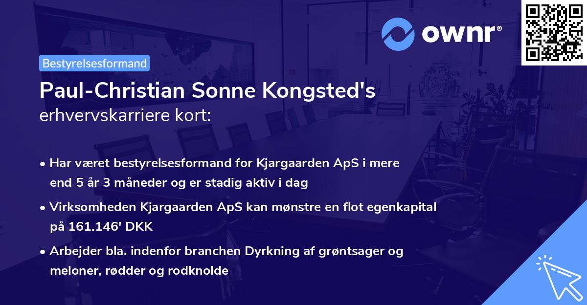 Paul-Christian Sonne Kongsted's erhvervskarriere kort