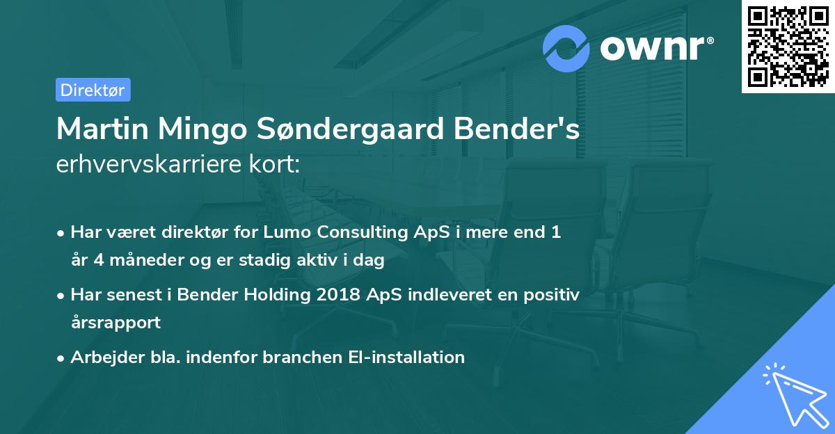 Martin Mingo Søndergaard Bender's erhvervskarriere kort