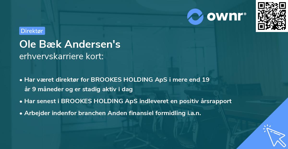 Ole Bæk Andersen's erhvervskarriere kort