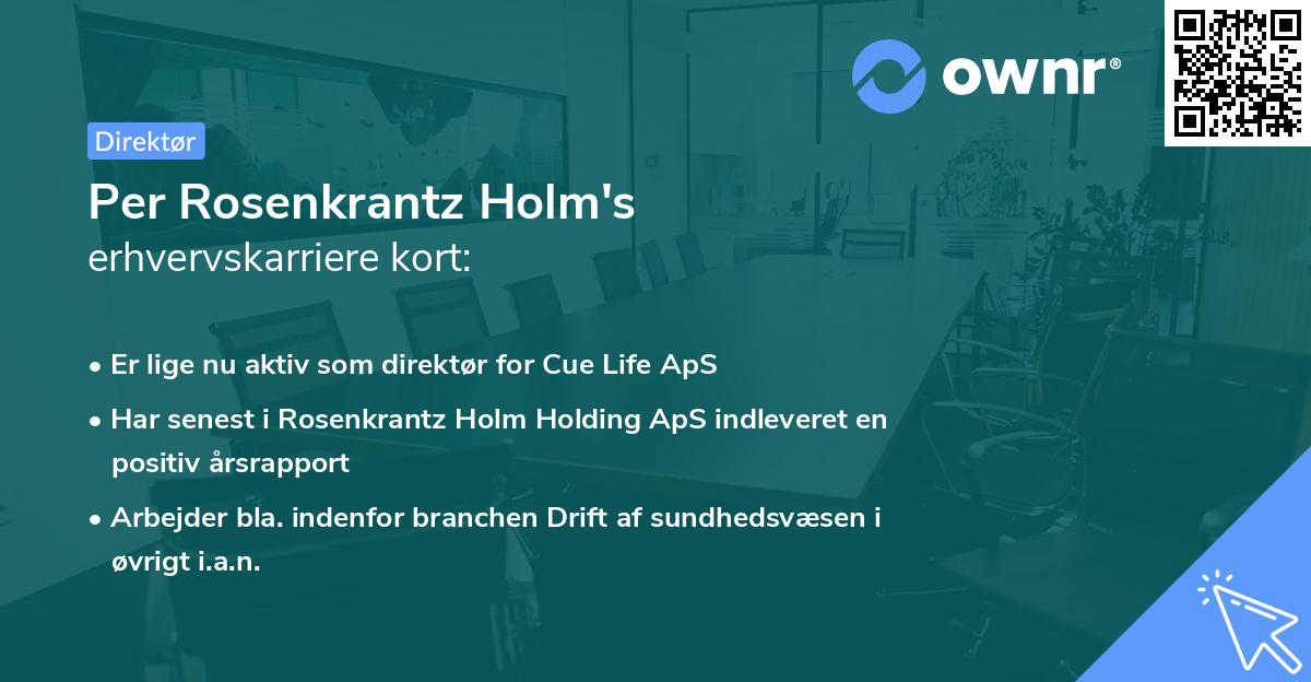 Per Rosenkrantz Holm's erhvervskarriere kort