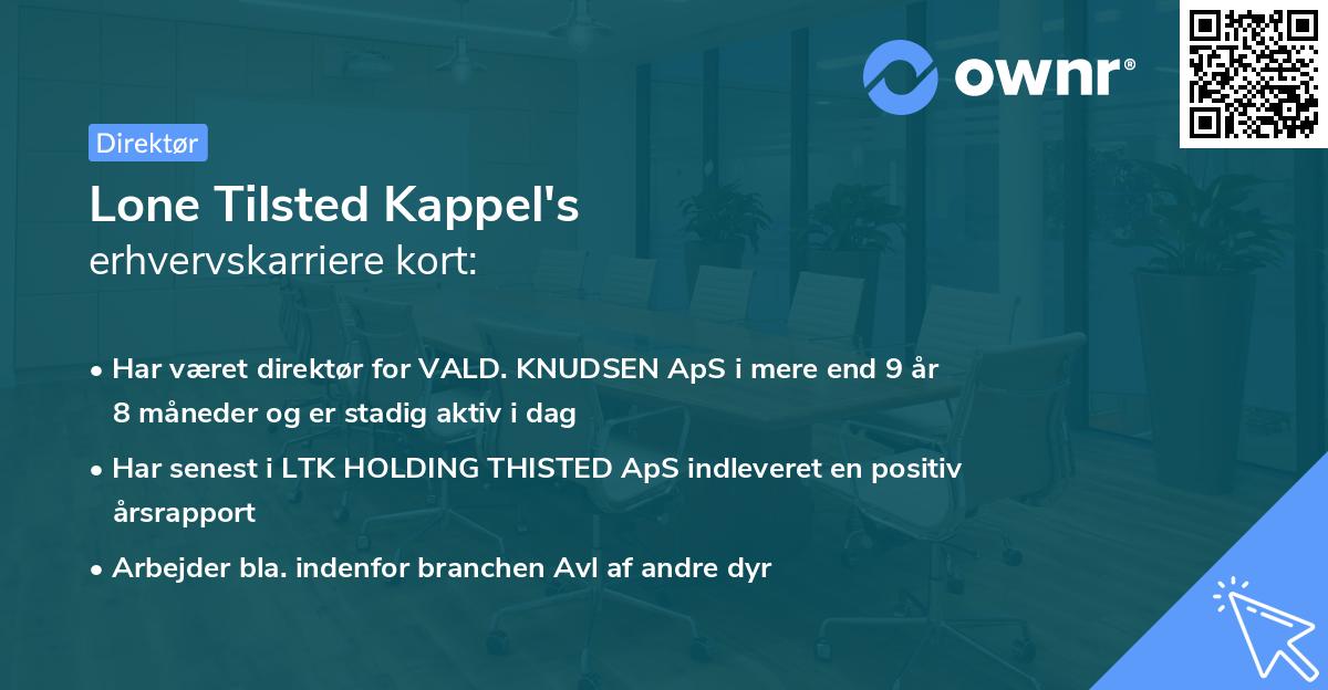 Lone Tilsted Kappel's erhvervskarriere kort