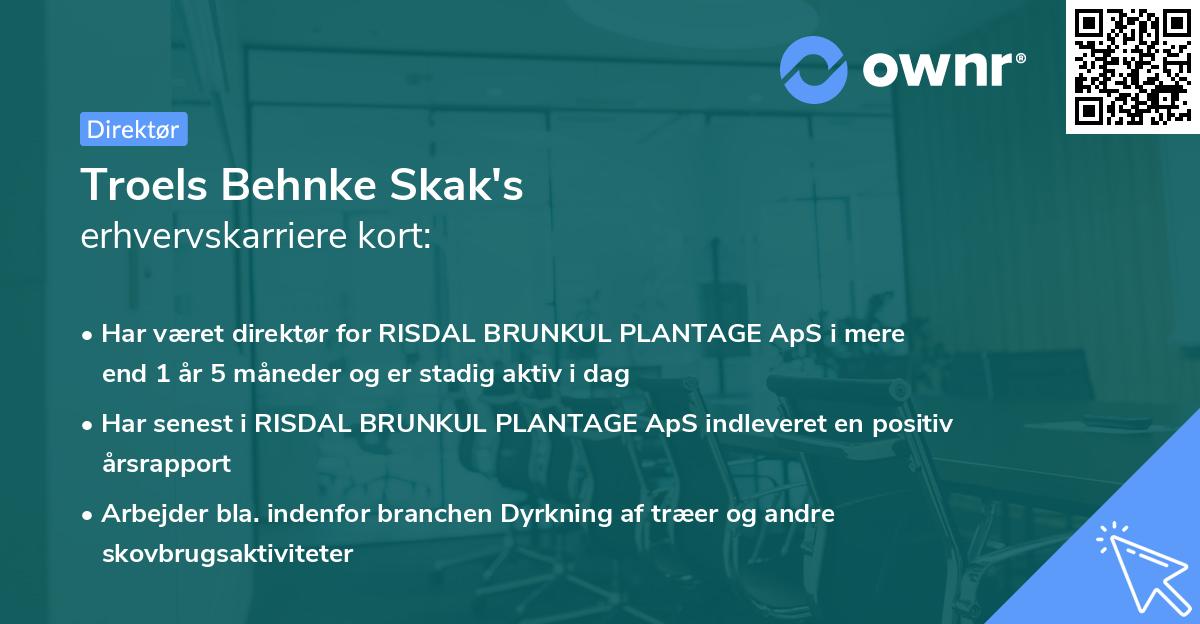 Troels Behnke Skak's erhvervskarriere kort