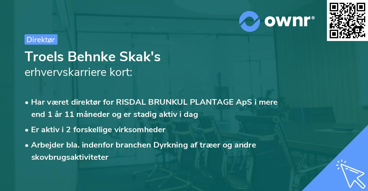 Troels Behnke Skak's erhvervskarriere kort