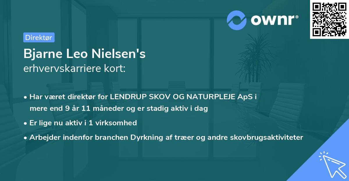 Bjarne Leo Nielsen's erhvervskarriere kort